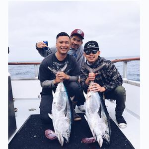 Meet your Posher, Roger